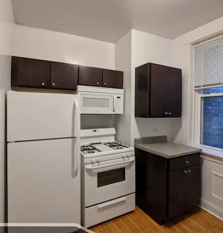 2919 West George Street Chicago IL 60618