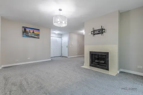 369 Southbury Court Schaumburg IL 60193