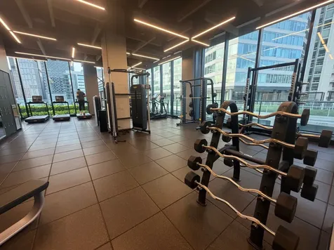 234 West Polk Street Chicago IL 60607