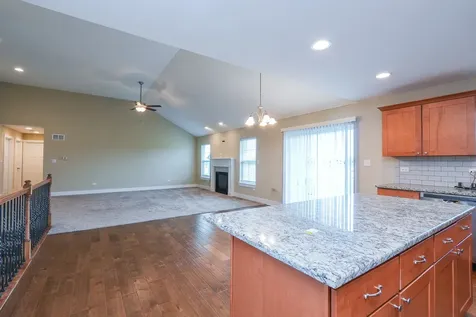 542 Peacock Place Manteno IL 60950