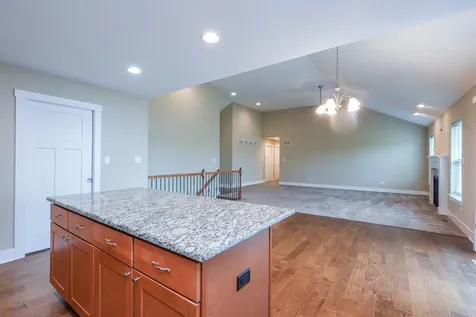 542 Peacock Place Manteno IL 60950