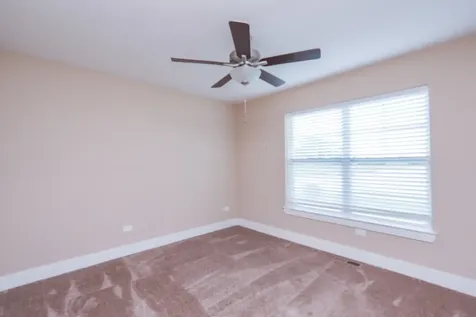 542 Peacock Place Manteno IL 60950