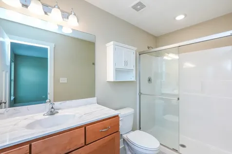 542 Peacock Place Manteno IL 60950
