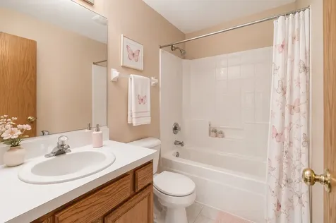 3241 Lightning Court New Lenox IL 60451