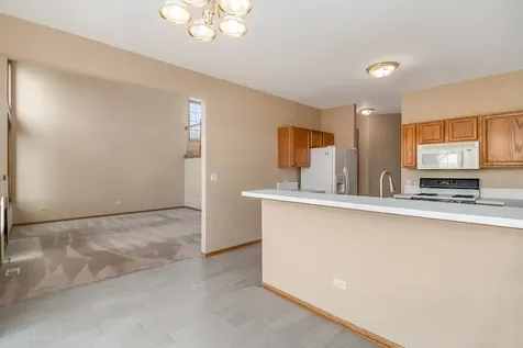 3241 Lightning Court New Lenox IL 60451