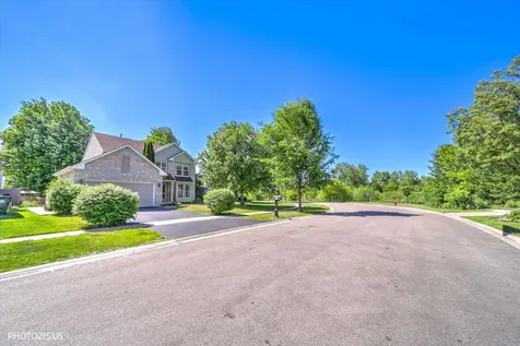 186 N Brittany Lane Hainesville IL 60030