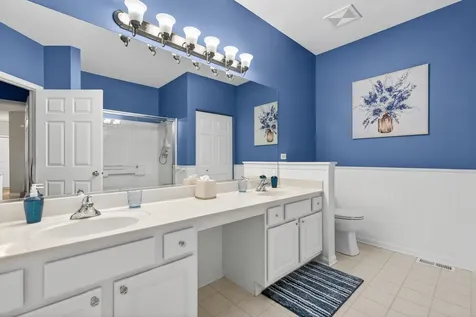 4323 Blue Iris Court Island Lake IL 60042
