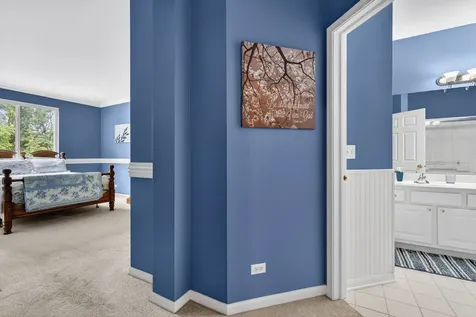 4323 Blue Iris Court Island Lake IL 60042