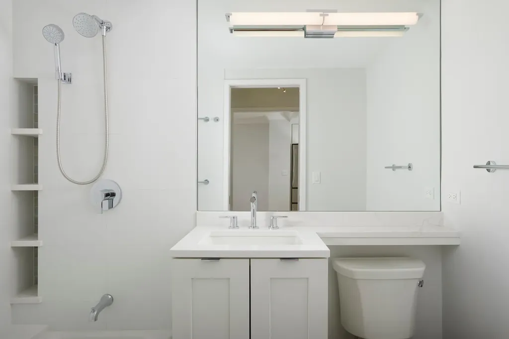 1460 North Sandburg Terrace Chicago IL 60610