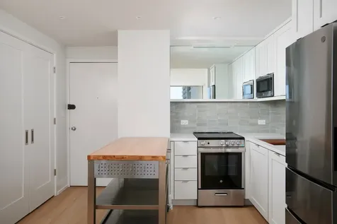 1460 North Sandburg Terrace Chicago IL 60610