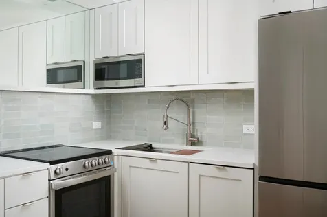 1460 North Sandburg Terrace Chicago IL 60610
