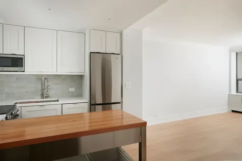 1460 North Sandburg Terrace Chicago IL 60610