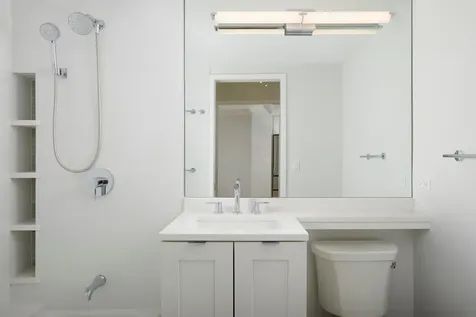 1460 North Sandburg Terrace Chicago IL 60610