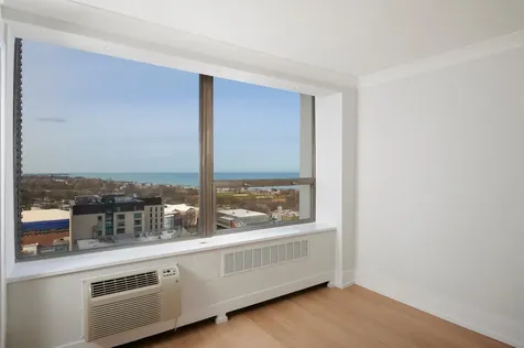 1460 North Sandburg Terrace Chicago IL 60610