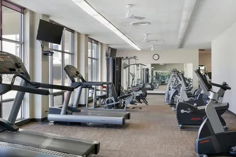 1460 North Sandburg Terrace Chicago IL 60610