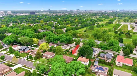 1132 South Fernandez Avenue Arlington Heights IL 60005