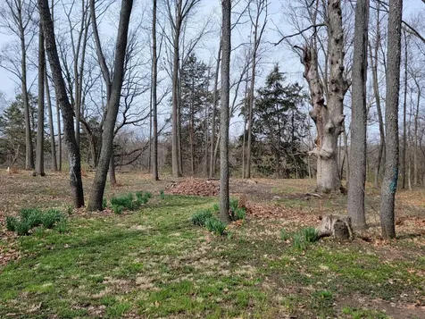 4615 East 2619th Road Sandwich IL 60548