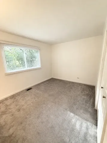 228 Harvard Lane Bloomingdale IL 60108