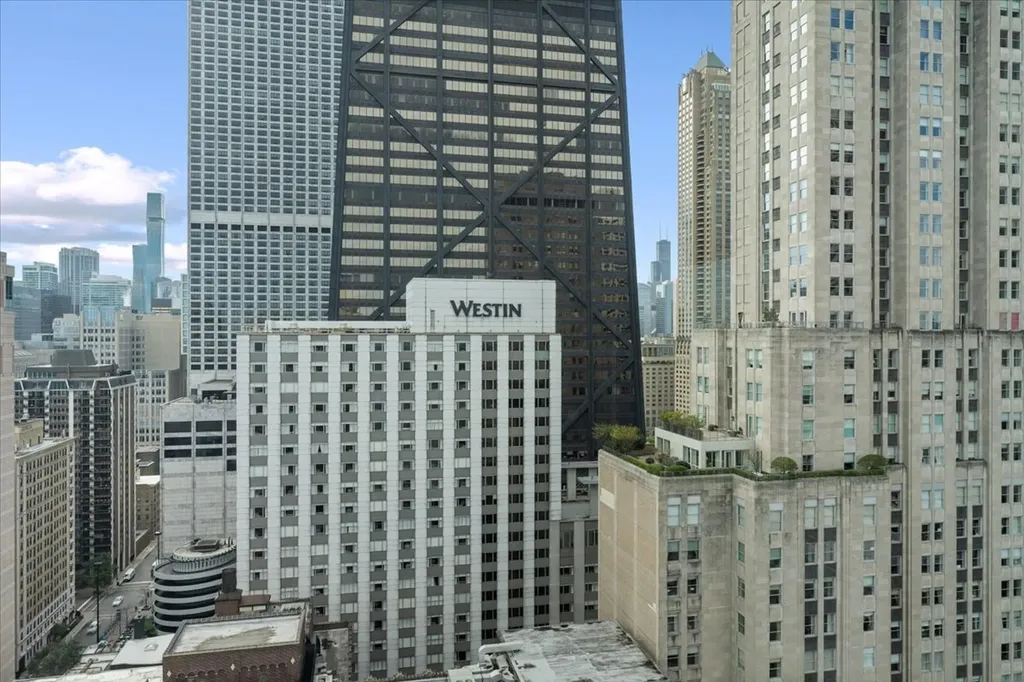 179 East Lake Shore Drive Chicago IL 60611