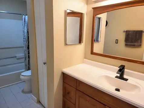 216 Ivy Court Streamwood IL 60107