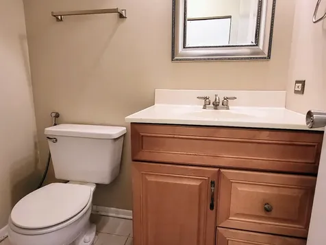 216 Ivy Court Streamwood IL 60107