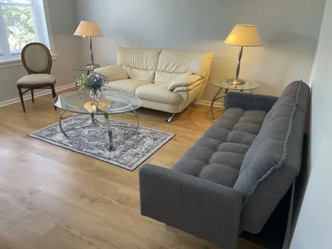 3256 North Elston Avenue Chicago IL 60618