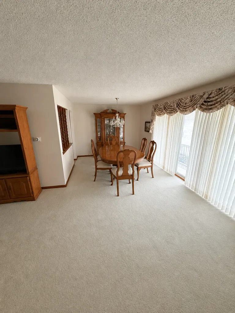 7432 West 153rd Street Orland Park IL 60462