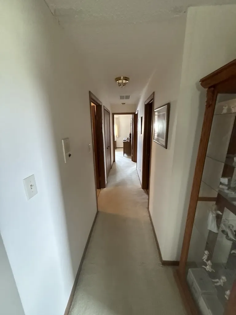 7432 West 153rd Street Orland Park IL 60462
