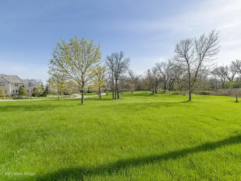 215 Oak Brook Road Oak Brook IL 60523