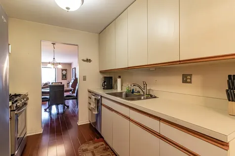 1071 Deerfield Place Highland Park IL 60035