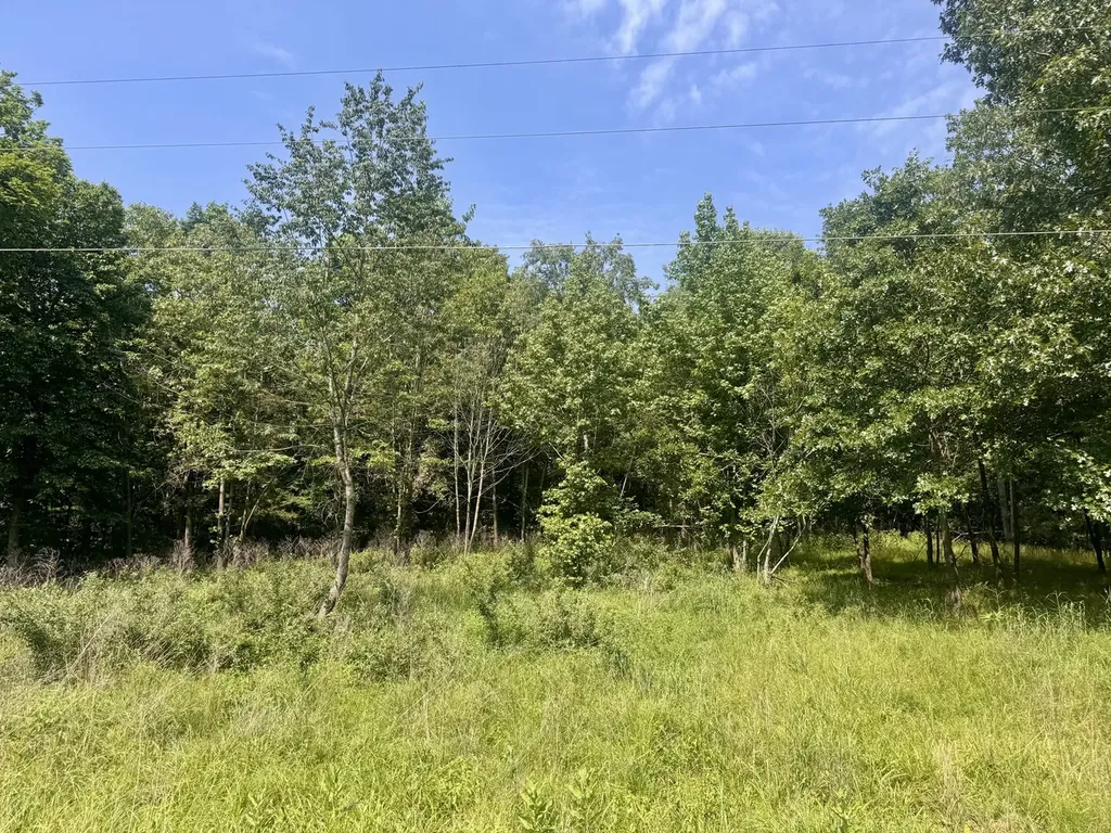 000 Shawnee Drive Goreville IL 62939
