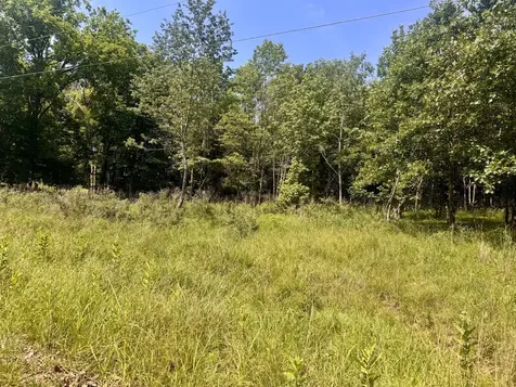 000 Shawnee Drive Goreville IL 62939