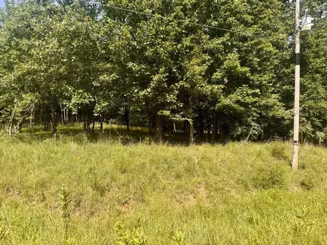 000 Shawnee Drive Goreville IL 62939