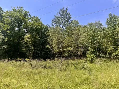 000 Shawnee Drive Goreville IL 62939