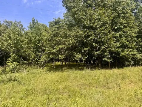 000 Shawnee Drive Goreville IL 62939