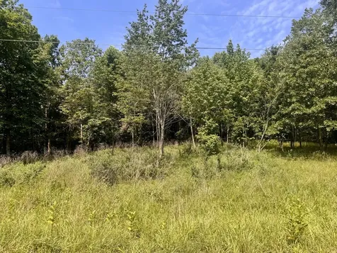 000 Shawnee Drive Goreville IL 62939