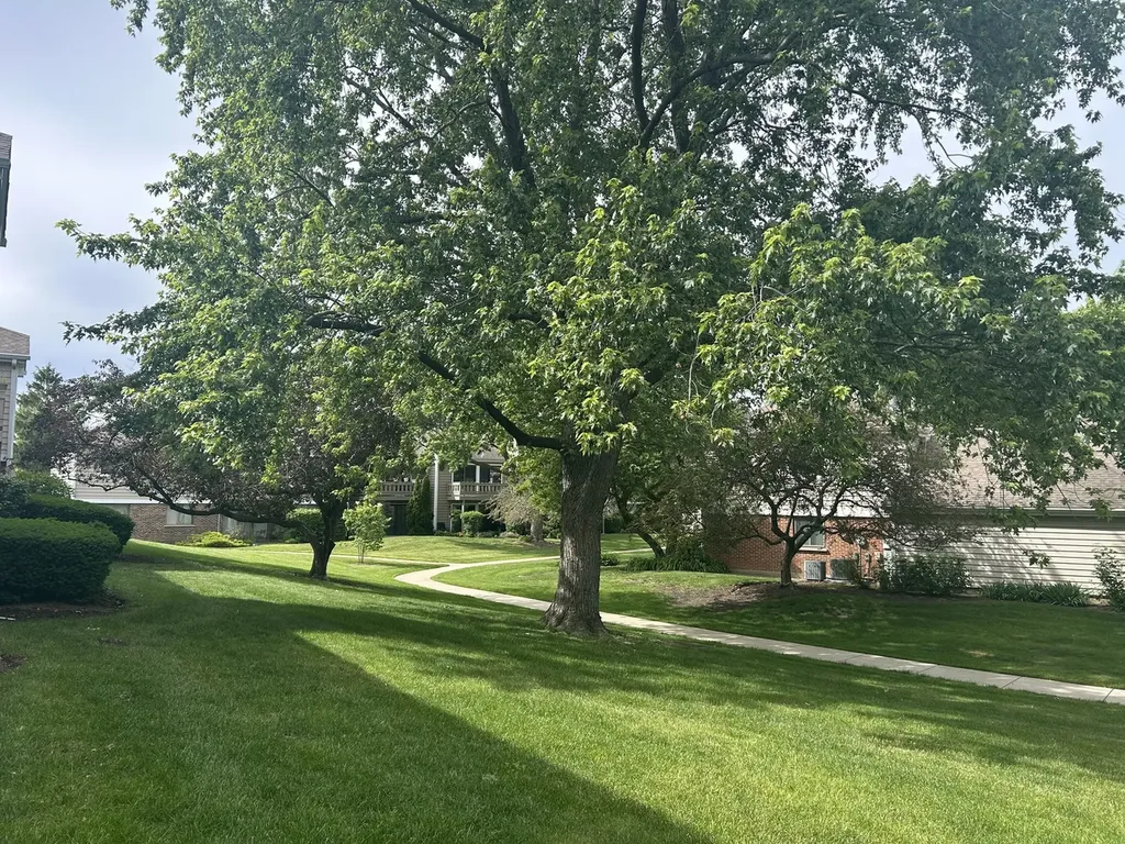 93 Lambert Drive Schaumburg IL 60193