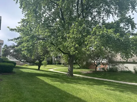 93 Lambert Drive Schaumburg IL 60193