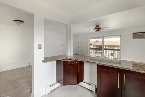 15834 Orlan Brook Drive Orland Park IL 60462