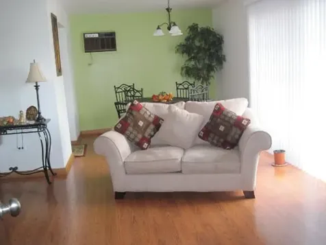 7032 O Connell Drive Chicago Ridge IL 60415