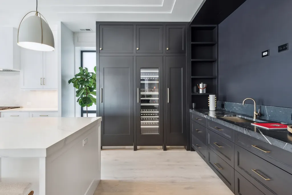 116 North Willard Court Chicago IL 60607