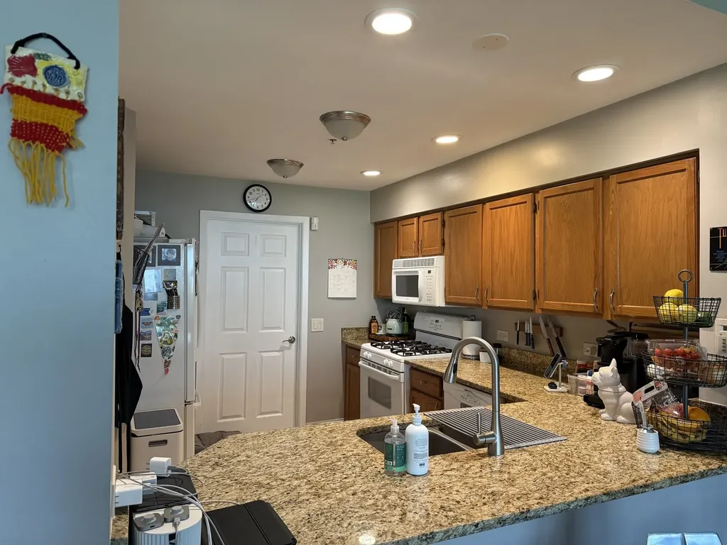 1153 South Cambria Lane Lombard IL 60148