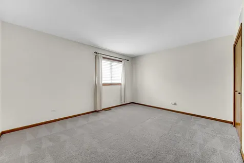 21147 Hunter Woods Drive Frankfort IL 60423