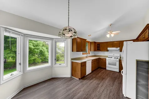 21147 Hunter Woods Drive Frankfort IL 60423