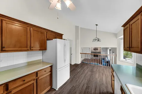 21147 Hunter Woods Drive Frankfort IL 60423
