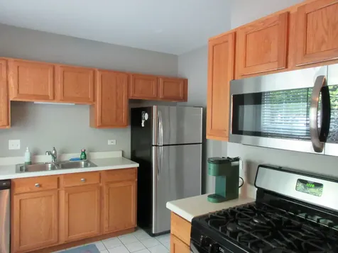 1225 North Village Drive Round Lake Beach IL 60073