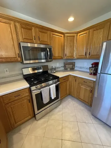 453 Snipe Run Drive Bonfield IL 60913