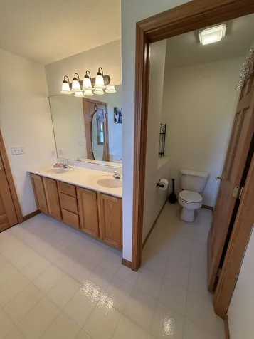 453 Snipe Run Drive Bonfield IL 60913
