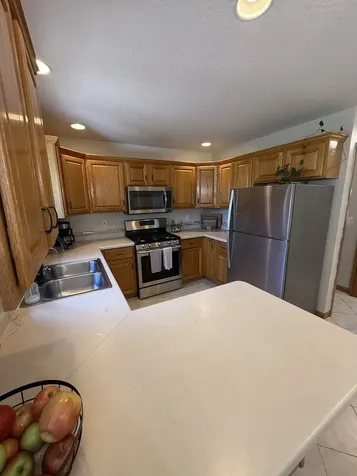 453 Snipe Run Drive Bonfield IL 60913