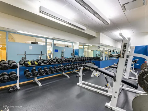 505 North Lake Shore Drive Chicago IL 60611